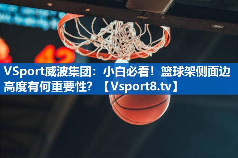 VSport威波集团：小白必看！篮球架侧面边高度有何重要性？