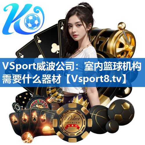 <strong>VSport威波公司：室内篮球机构需要什么器材</strong>