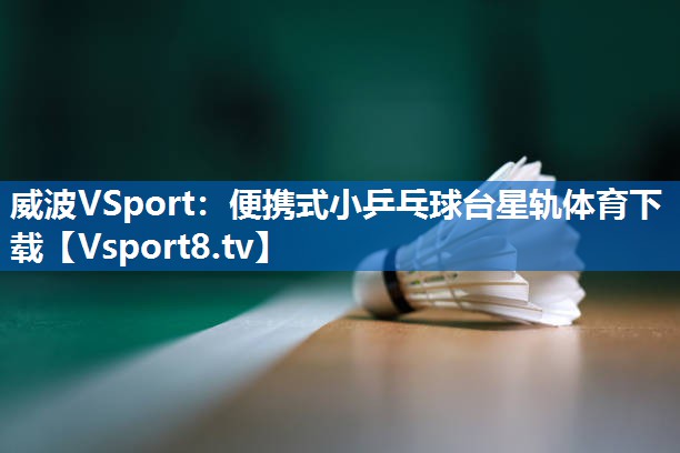 <strong>威波VSport：便携式小乒乓球台星轨体育下载</strong>