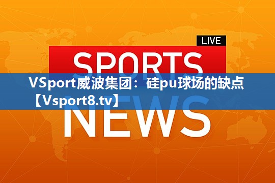 <strong>VSport威波集团：硅pu球场的缺点</strong>